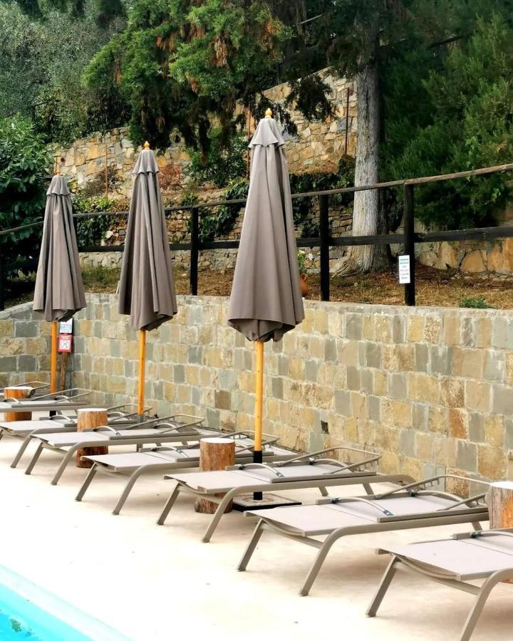 Agriturismo Osteria Du Barba Pe' - Casa Cassini 보르디게라 외부 사진