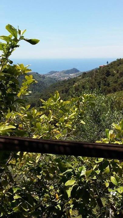 Agriturismo Osteria Du Barba Pe' - Casa Cassini 보르디게라 외부 사진